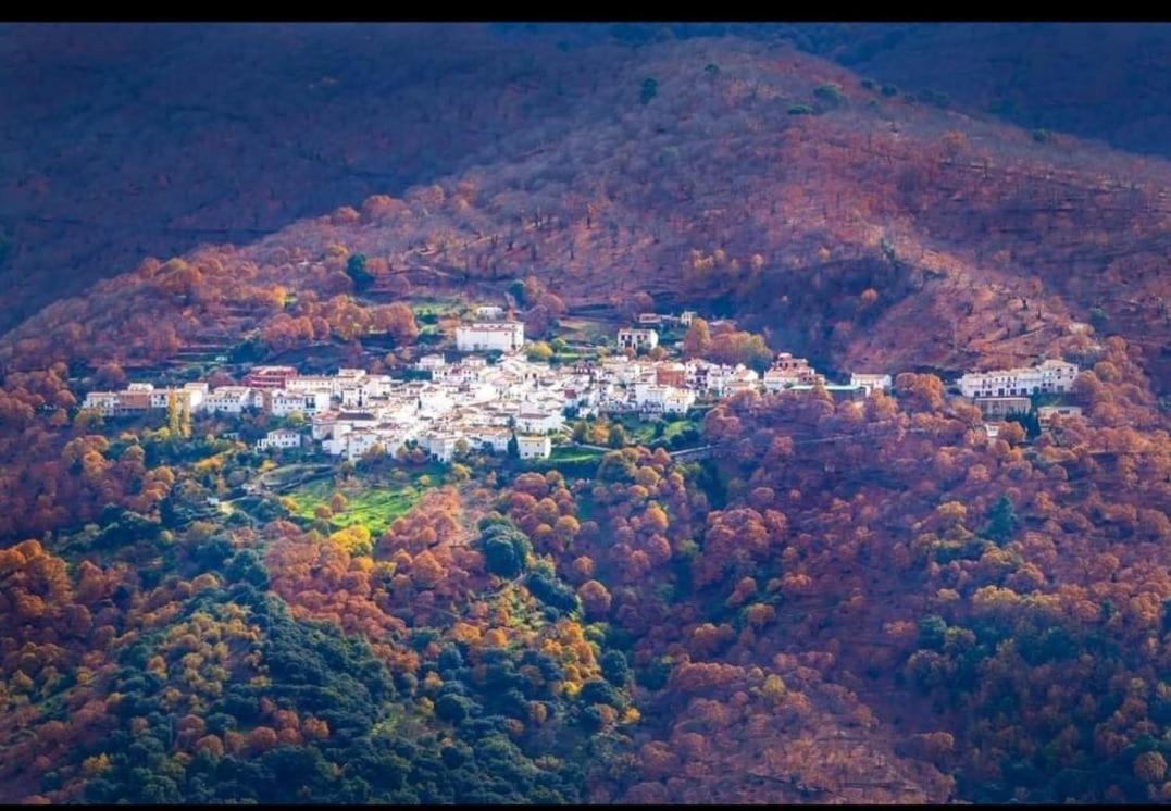 Casa Rural "La Casita" Pujerra Exteriér fotografie